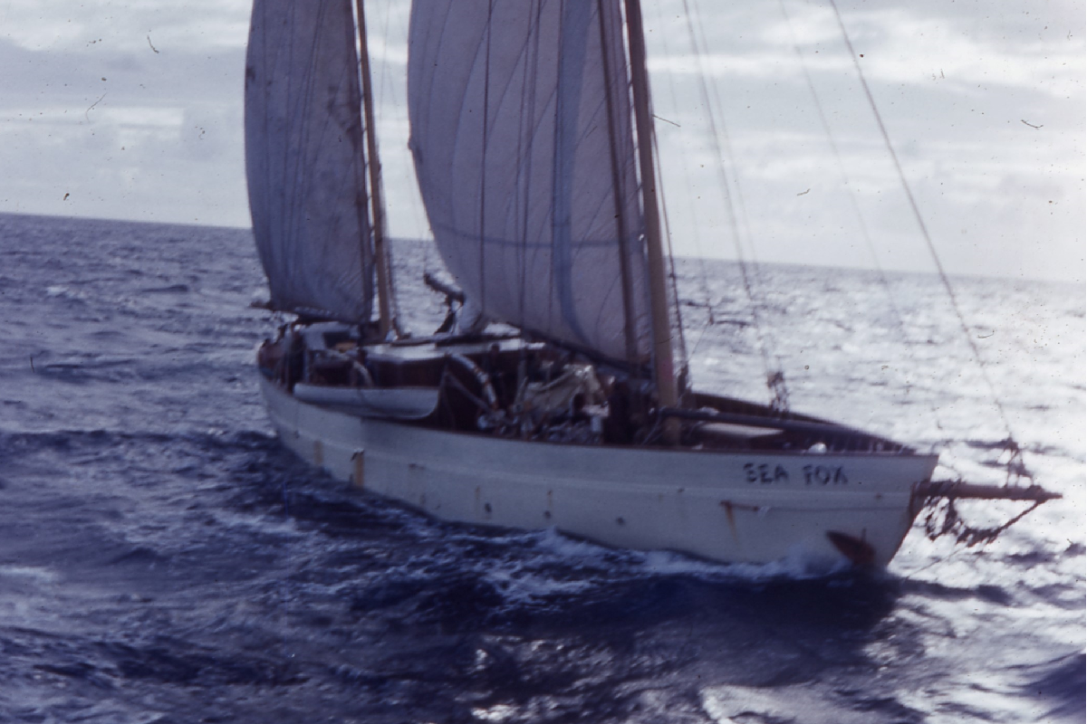 A disabled yacht with limp sails floats on a choppy sea.