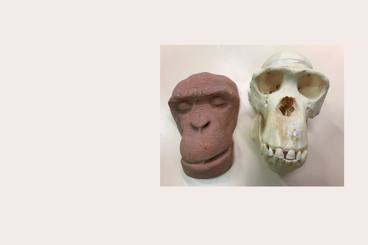 Depicts Jimmy’s death mask and skull.