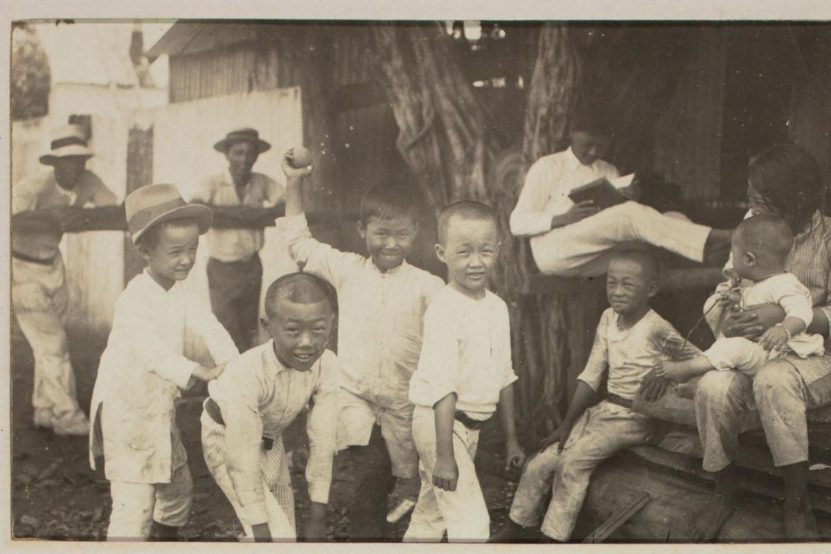 Several children play around a tree.
