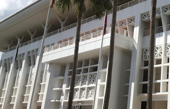 Large white building with geometric shapes and palm trees in the foreground