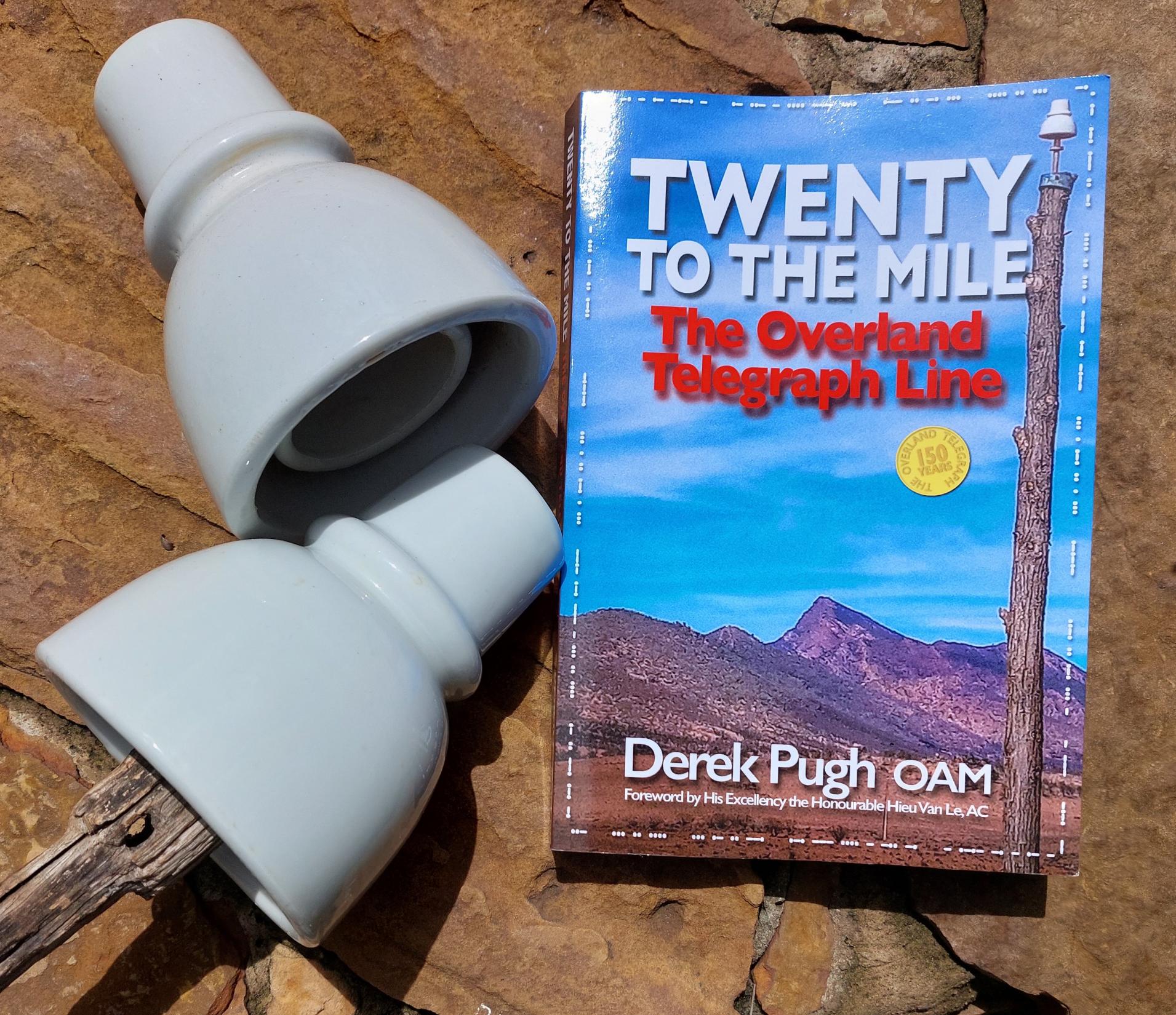 Image of book rested on a brown rock with cone looking things on top of wood laying down beside the book