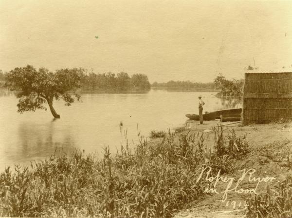 Roper River in Flood, c1914: Northern Territory Library John Robert Johns Collection PH00734/0069 Sepia colour image of man standing on bank and looking at the Roper River with a stack of hay bales behind him