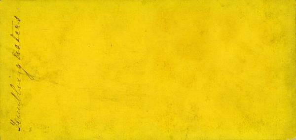 Reverse of Stereoscopic image of Tumbling Waters, 1869