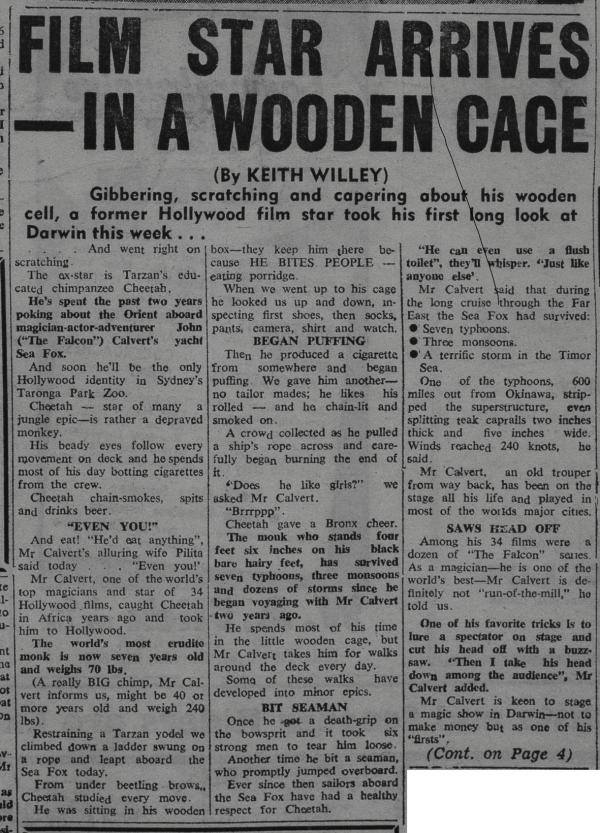 Newspaper article
