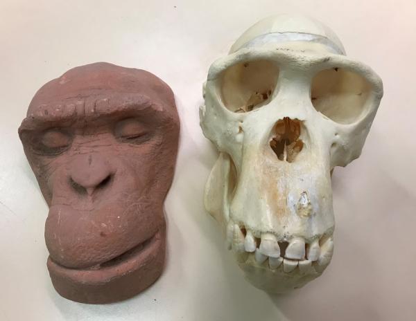 Depicts Jimmy’s death mask and skull.