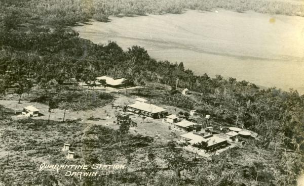 Aerial photo of buildings in the clearing near the water of Darwin harbour.
