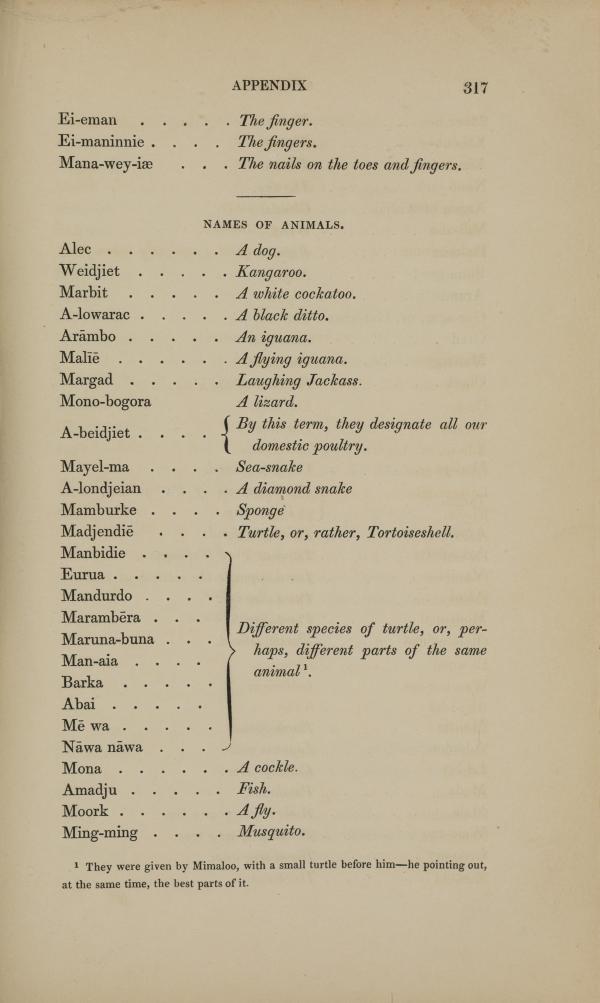 List of words for animals.